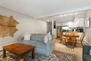 Snowlion Condos 208 - Image 4