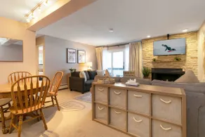Snowlion Condos 208 - Image 3