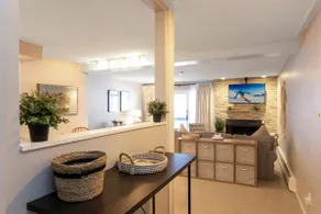 Snowlion Condos 208 - Image 2