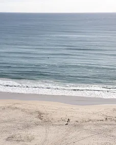 Ocean Front Escape on Palm Beach - Image 5