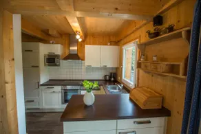 Chalet # 72 with 4 BR and infrared sauna - Image 2