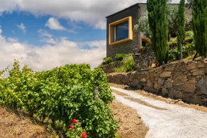 Host Wise - Casa dos Ciprestes - Pool & Vines Haven - Image 3