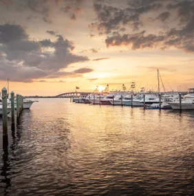 Authentic Florida Beach Getaway | Pool. Restaurant - Image 4