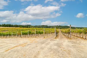 Vineyard Farmhouse in Oakland w/ Hot Tub! - Image 2