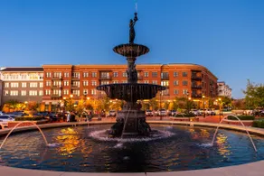 No Guest Fees, NEW, Bourbon, Horses, Golf Nearby - Image 5