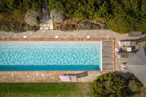 L'Olivo - Image 4