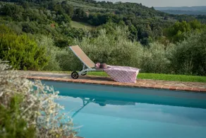 L'Olivo - Image 5