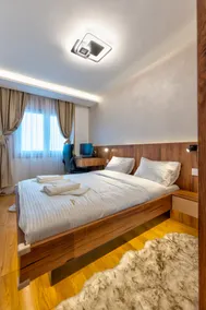 Grand Panorama Zlatibor - luxury apartment - Image 2
