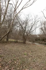 Dog-Friendly Home w/ Fenced Yard nr Berea College - Image 4