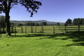 The Dog Kennels - Image 5