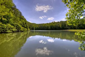 Lakeview Retreat - Image 3