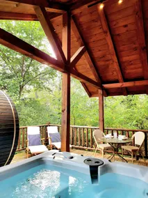 Romantic Lake Logan Cabin with Hot Tub and Sauna - Image 3