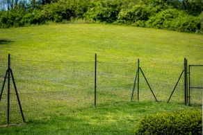 Cayuga-Fenced Yard Chalet - Image 2