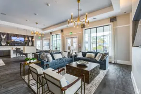 Charming King Suite, Near Universal & Pet-Friendly - Image 3