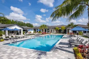 Charming King Suite, Near Universal & Pet-Friendly - Image 5