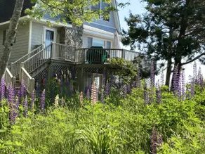 Owl's Nest by Sea Maine - Image 3