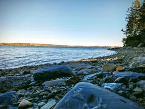 Oceanfront Maine Cottage: Fire Pit & Beach - Image 3