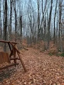 Firefly Cabin/ Close to Pictured Rocks! - Image 4