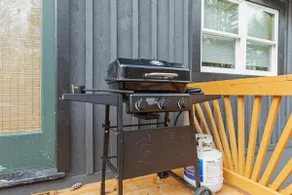 Secluded Cabin, Hot Tub, Fire Pit, Pets, Grill - Image 3