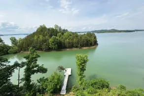 Velvet Monkey Retreat - Image 2