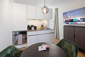 Premium | Modern | Park | Wash | Cook | 15'Airport - Image 5