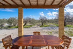 House of Olives - Image 2