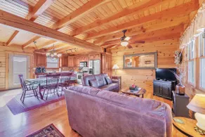 Best view in the Smokies, game basement! - Image 4