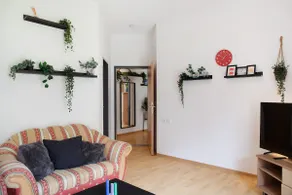 Apartment Tux - Image 4
