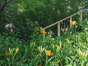 Garfield Grounds | Lakeside • Guest Cottage • Dock - Image 5