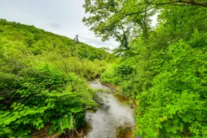 Mtn-view Deck & Grill: Creekside Catskills Cabin! - Image 2