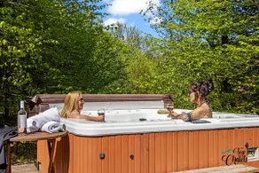 Log cabin, Spa near Tremblant - Image 5