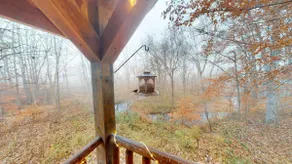 Wildlife Valley Cabins - Lil Bambi - Image 5
