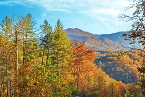 Your Cozy Smoky Mtn Basecamp for Adventure (and S’ - Image 5