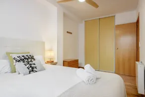 Arañones Canfranc, Aspe Accommodation - Image 2