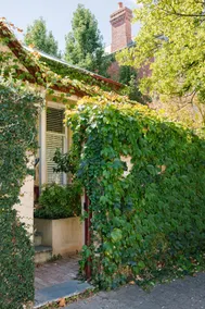 Contemporary Haven | Private Yard & BBQ | Adelaide - Image 2