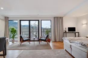 Sunny apartment in Kinzigtal - Image 4