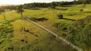 Equine Haven Trail by Tiny Away - Image 2
