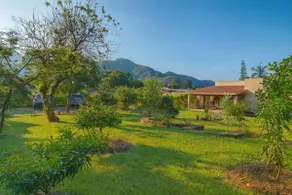 Casa Copal Nature and Reconnection - Image 2