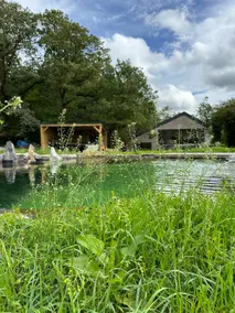 The House in the Woods - Image 2