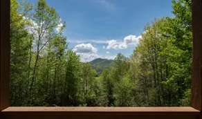 Quiet Haven Mountain Top Cabin - 3 Bedroom Cabin with Breathtaking Views - Image 3