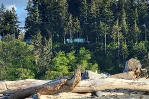 3 BR shorefront cabin on Dungeness Harbor - Image 2