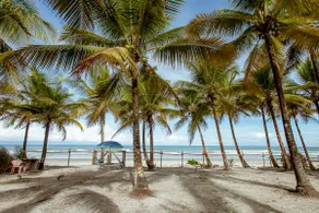 House with Feet in the Sand with Exclusive Access to Acuípe Beach - Image 5