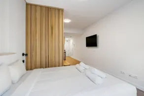 Renovated apartment with temporary rental garage - Image 5