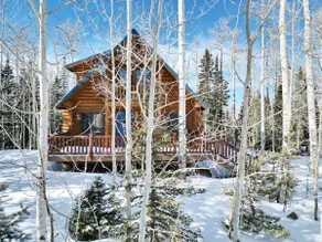 Timber Lodge Cabin – Secluded Sauna Retreat - Image 4