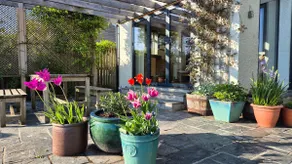 Couples retreat on Dartmoor with stunning views - Image 4