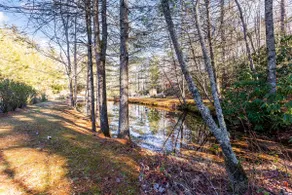 Cozy Mountain Retreat with Private Trails & Ponds - Image 4