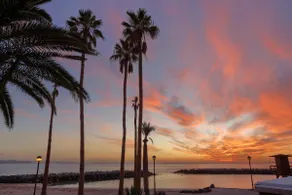 Grupotel Flamingo Beach - Image 5
