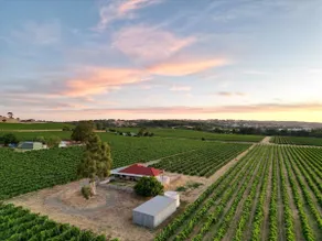 McGill Vineyard Barossa - Image 2