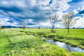 Yellowstone Escape | 10 min to downtown | Near MSU - Image 2