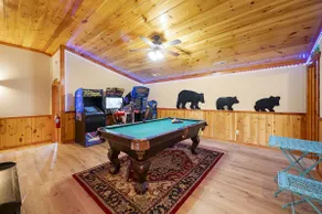 Pet friendly! Private heated pool! Theatre! - Image 3